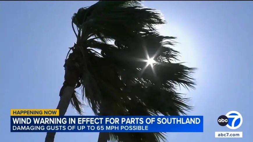 High Wind Watch: Gusty Santa Ana Winds to Batter Southern California, Yosemite Under Advisory