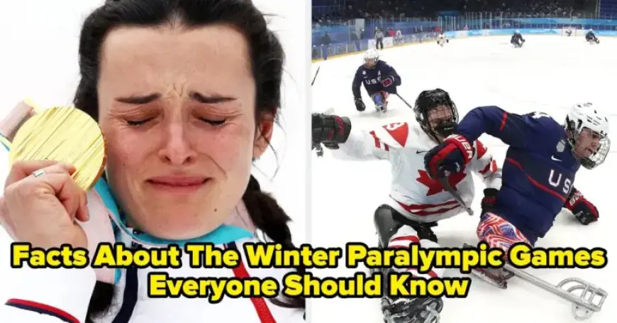 Essential Facts Everyone Should Know About the Winter Paralympic Games