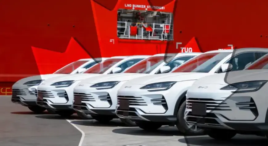 Canada Prepares to Import First BYD EVs, Official Registrations Reveal