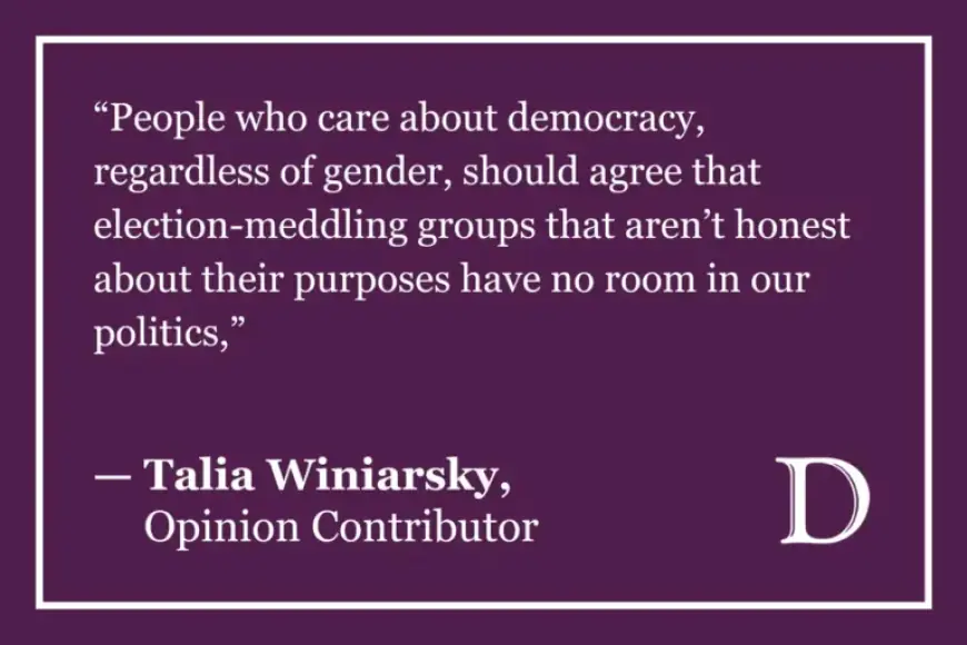 Laura Fine Faces Controversy Over Dark Money Allegations