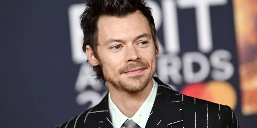 Harry Styles Opens Up on Family Plans as Relationship with Zoe Kravitz Grows