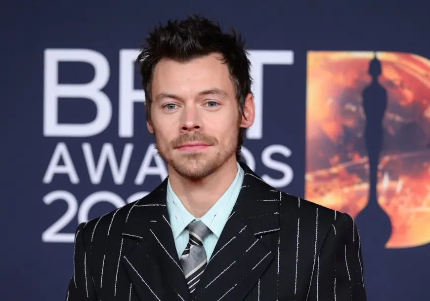 Paint By Numbers Harry Styles Lyrics Leak Highlights Vulnerable New Song