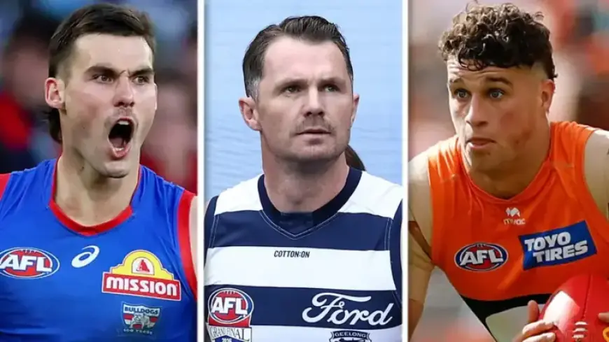 Dogs Star Returns, Cats Suffer Huge Loss, Giant Player Announced