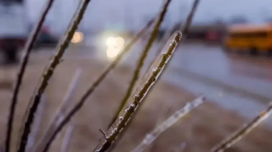 Wmur Closings: Rapid Switches Between Snow, Rain and Freezing Rain Drive Uncertainty for Schools