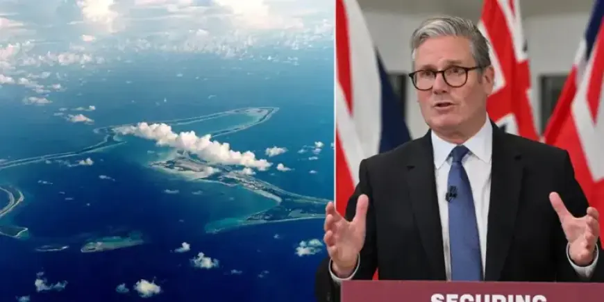 Emily Thornberry Criticizes Labour’s Trans Policy as Misguided