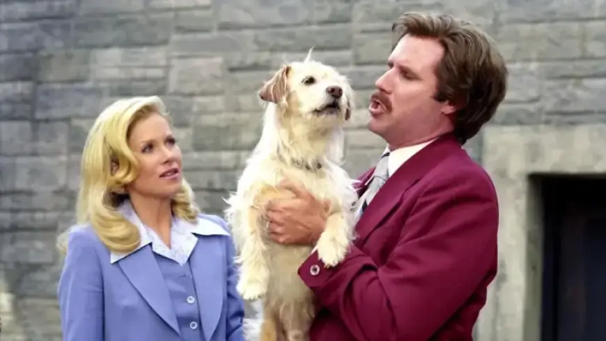 Christina Applegate Found ‘Anchorman’ Offer Initially Offensive