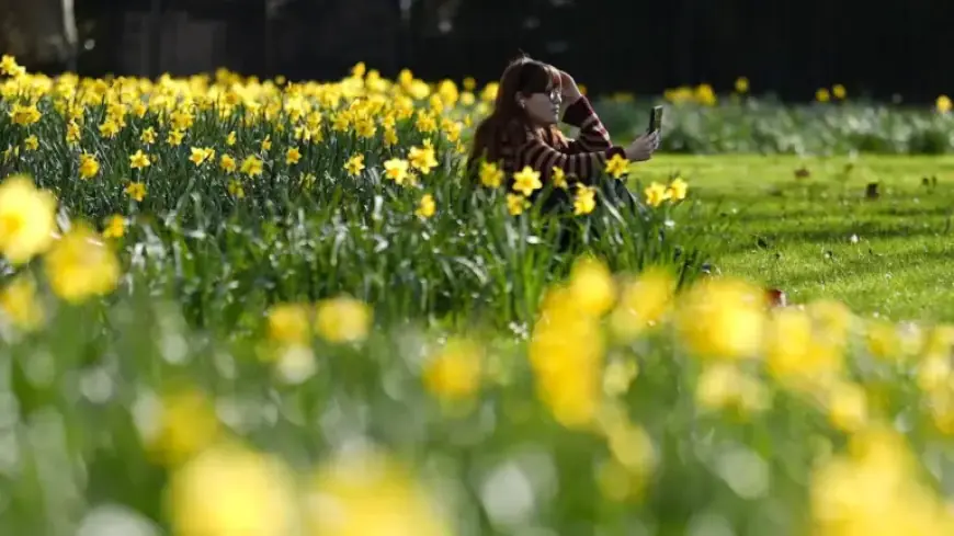 Spring Awakens: Sunshine, Longer Days, and Nature’s Revival | ITV News
