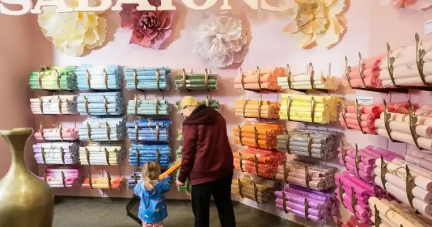 One Year Post-HBC Collapse: Revitalized Spaces Amid Surplus Vacant Stores