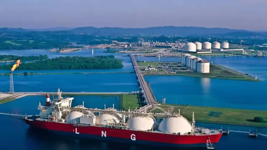 Top EU Countries Most Vulnerable to LNG Supply Disruption