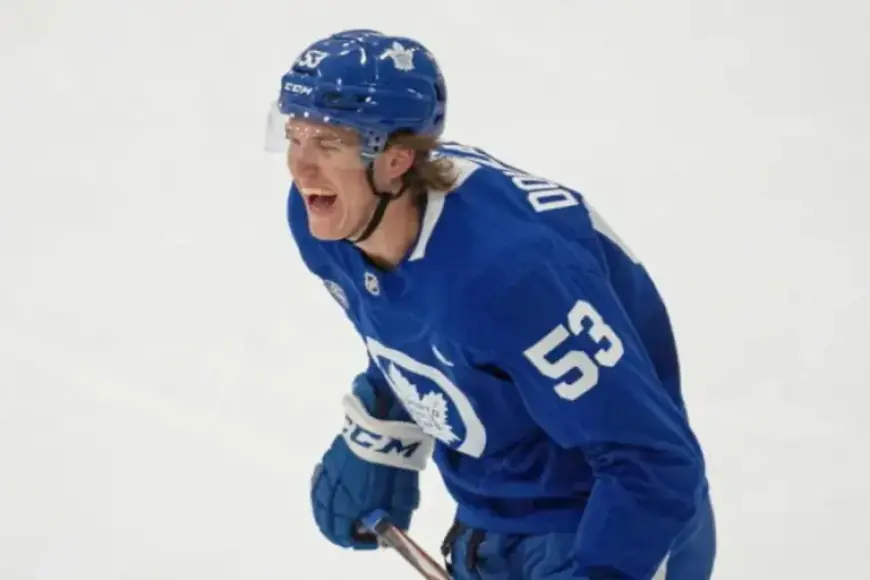 Maple Leafs Adjust Roster: Douglas & Holtz Waived Post Nic Roy Trade