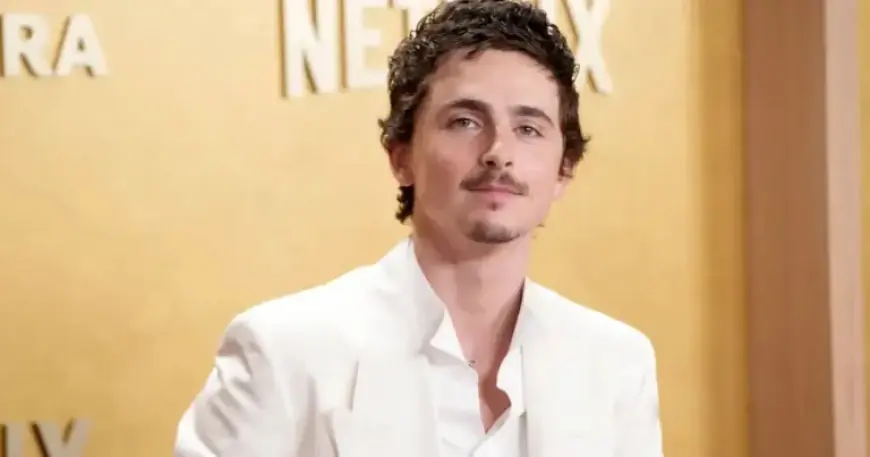 Timothée Chalamet Faces Backlash from Ballet Dancers and Opera Singers