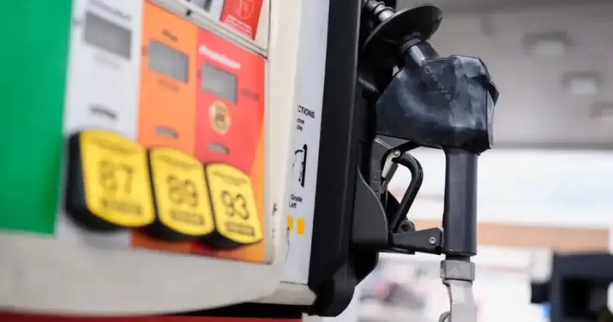 Stocks Plummet Amid Oil Price Concerns and U.S. Jobs Data Shocks Markets