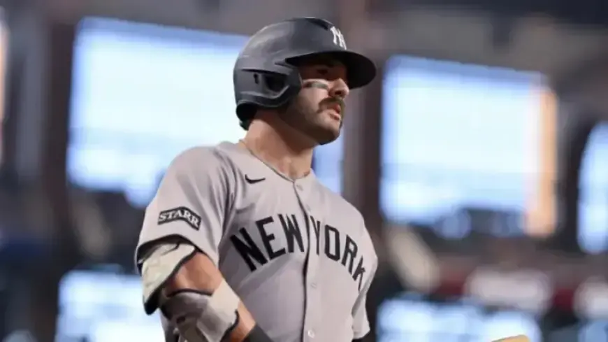Austin Wells Reflects on Exciting World Baseball Classic with Yankees