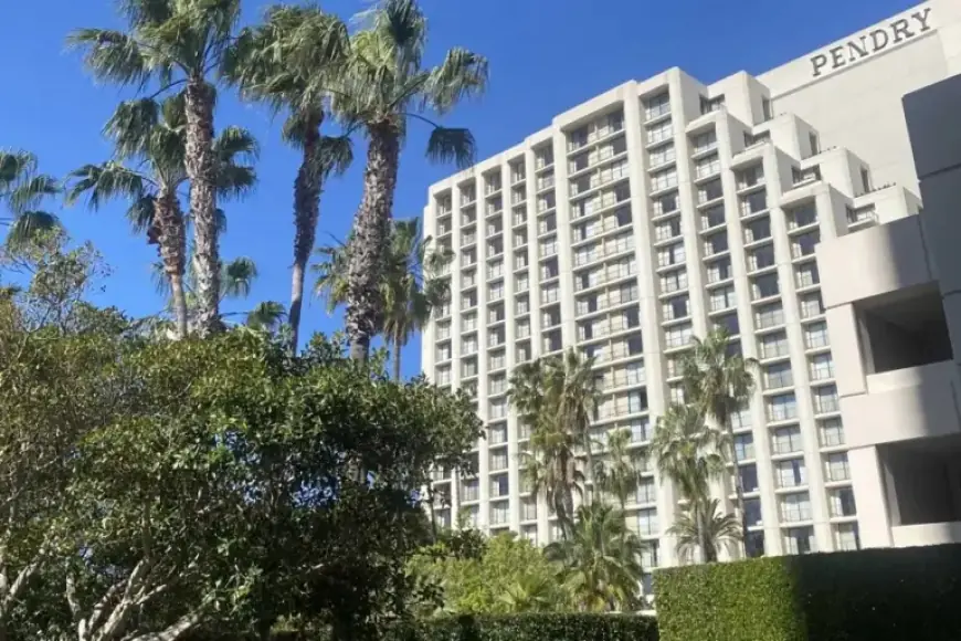 Luxury Backdrop: Carte Postale Deadline Approaches