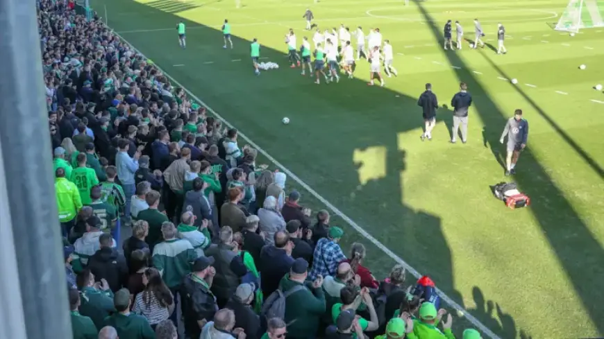 VfL Wolfsburg Fans Flock to Pre-Match Training Ahead of HSV Game