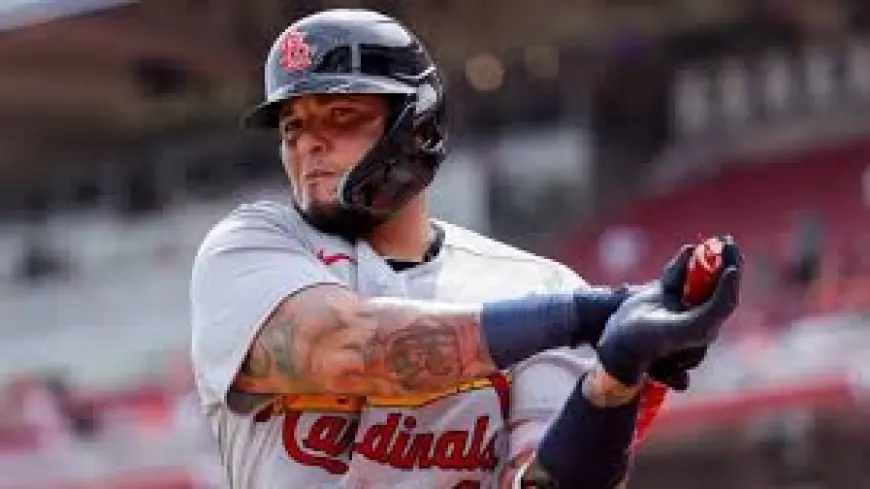 Why Albert Pujols Is Managing the Dominican Republic at the 2026 World Baseball Classic