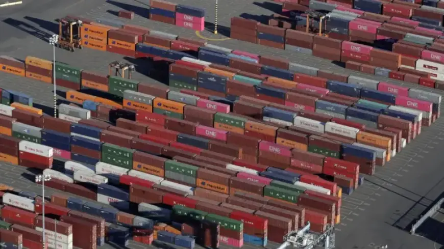 U.S. Customs Develops System to Refund Tariffs: NPR Report