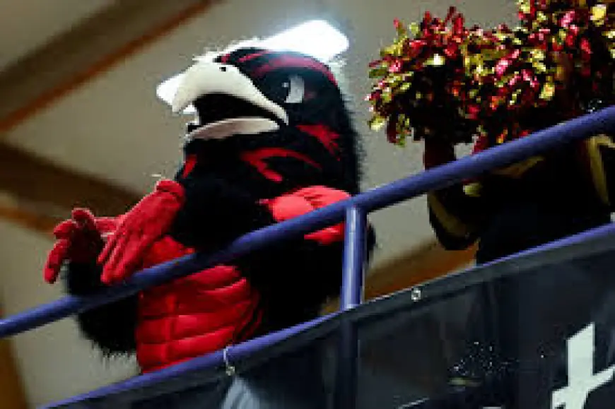 Osaa Boys Basketball: OSAA Releases Brackets and Streaming Schedule as Pleasant Hill, Creswell Set for Fourth-Place Game