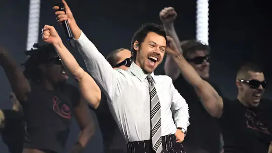 Harry Styles Explores Celebrity Relationship in New Album