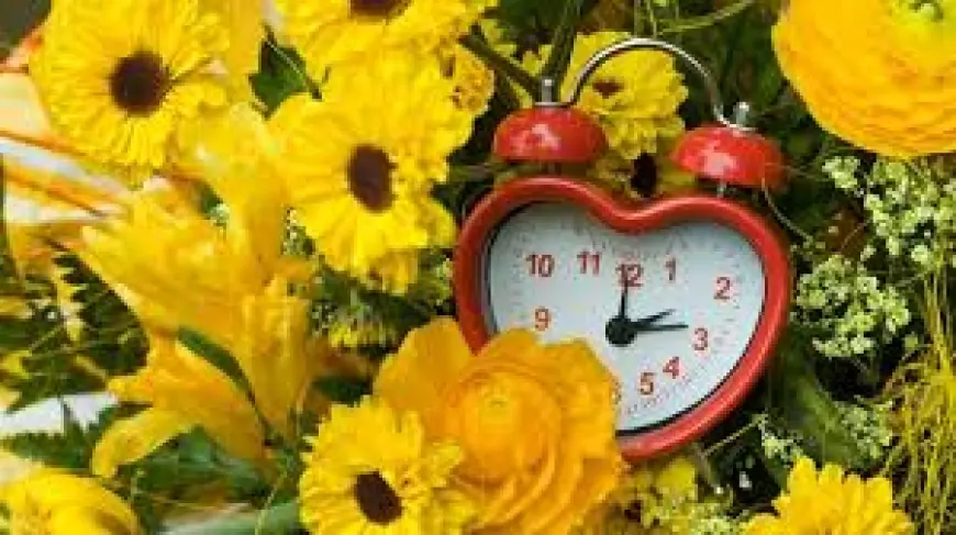 When Is Daylight Savings 2026 — Clocks Jump Ahead March 8 at 2 a.m.