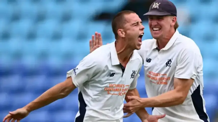 Tigers’ Shield Hopes Dashed by Tasmanian Collapse