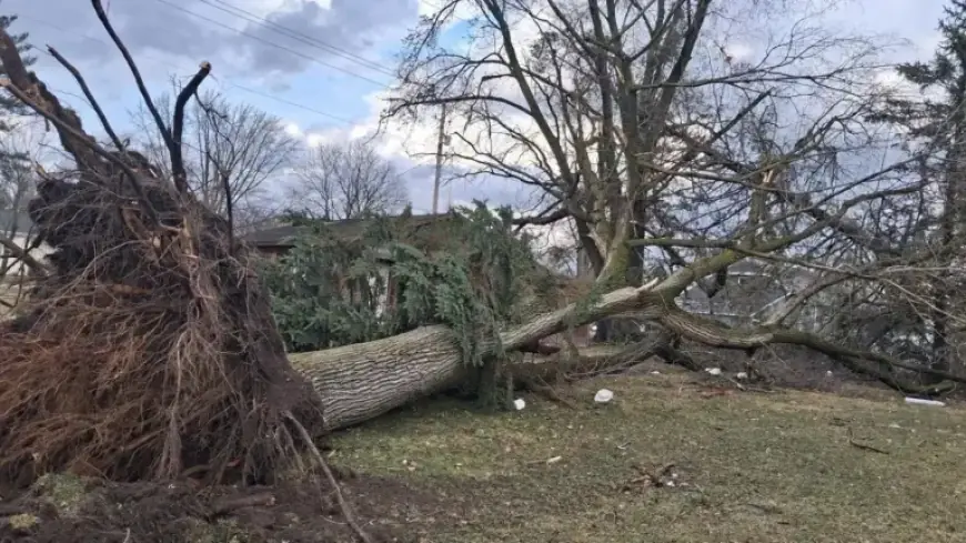 Severe Weather Triggers State Emergency Operations in Southwest Michigan