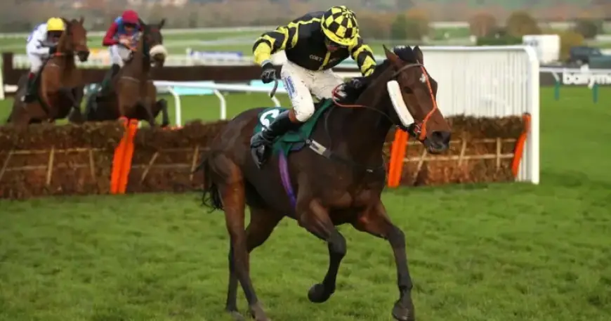 Amateur Jockey Sam Lee Passes Away at 27