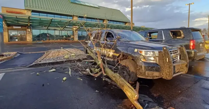 Tornadoes Devastate Rural Michigan: 4 Dead, Over a Dozen Injured