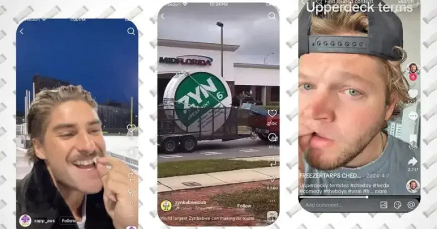 Should Corner Stores Sell Nicotine Pouches? Exploring the Debate