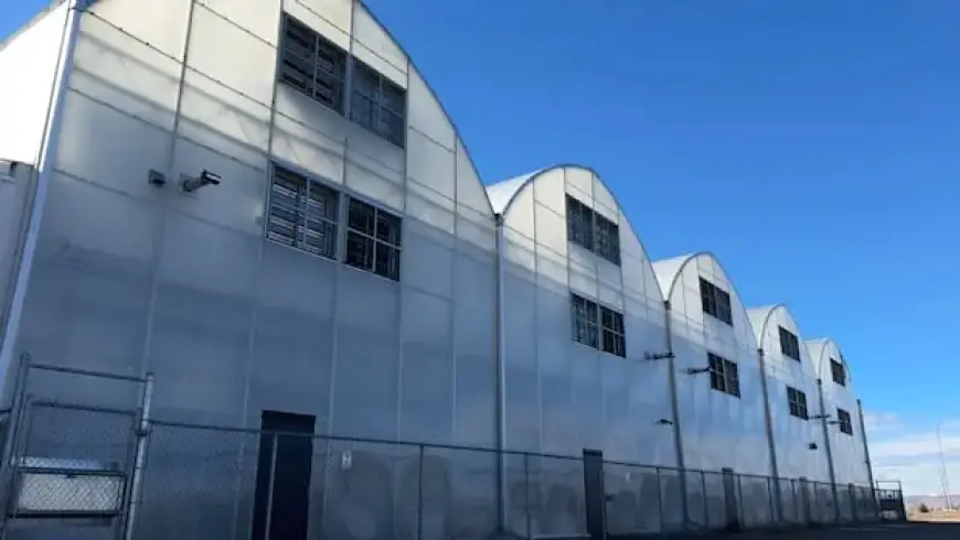 Claresholm Cannabis Farm Transforms into Gourmet Mushroom and Produce Hub