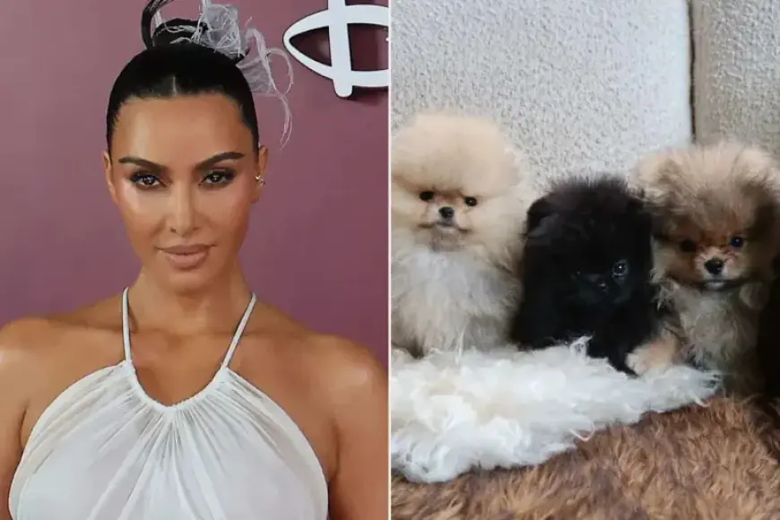 Kim Kardashian Reveals Four New Puppies for Kids Amid PETA Criticism