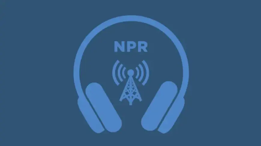 Epstein Exploited Interlochen Visits to Target Girls, Reveals NPR