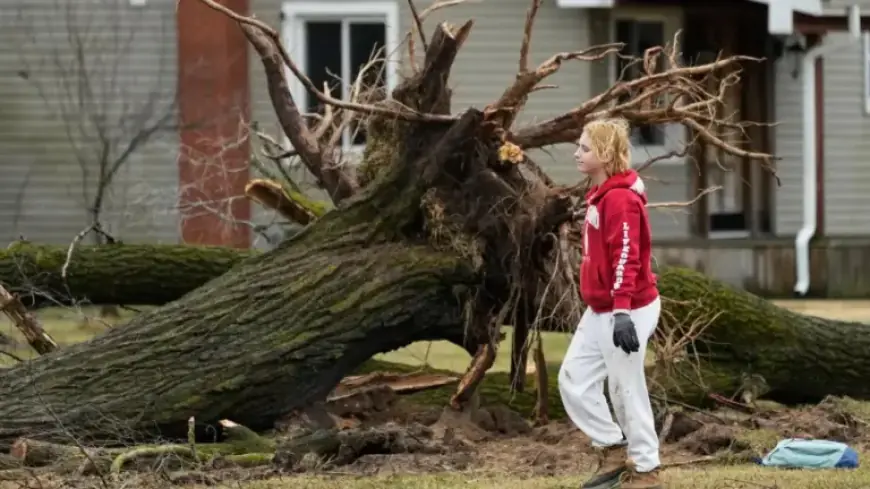 Tornadoes Devastate Michigan and Oklahoma, Leaving Six Dead: NPR