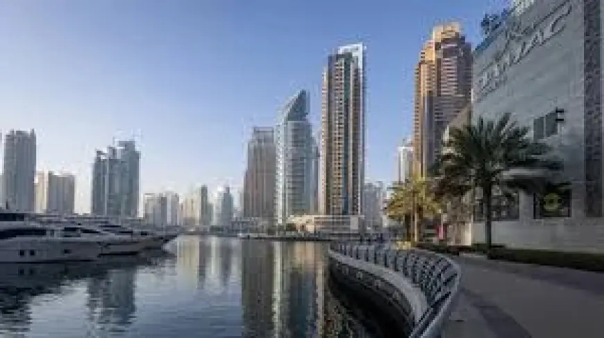 UAE Weighs Asset Freezes and Military Options as Iran War Uae Escalates