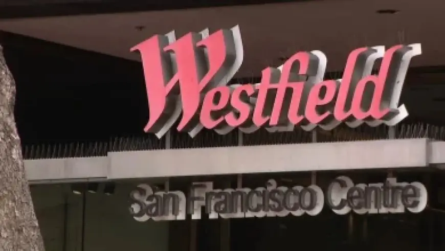 Mcdonald’s Faces a New Social-Media Playbook After CEO’s Viral Burger Bite