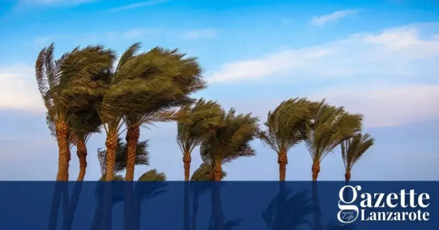 Tenerife Weather: Yellow Sea Warning Confirmed as Local Activity Suspensions Continue