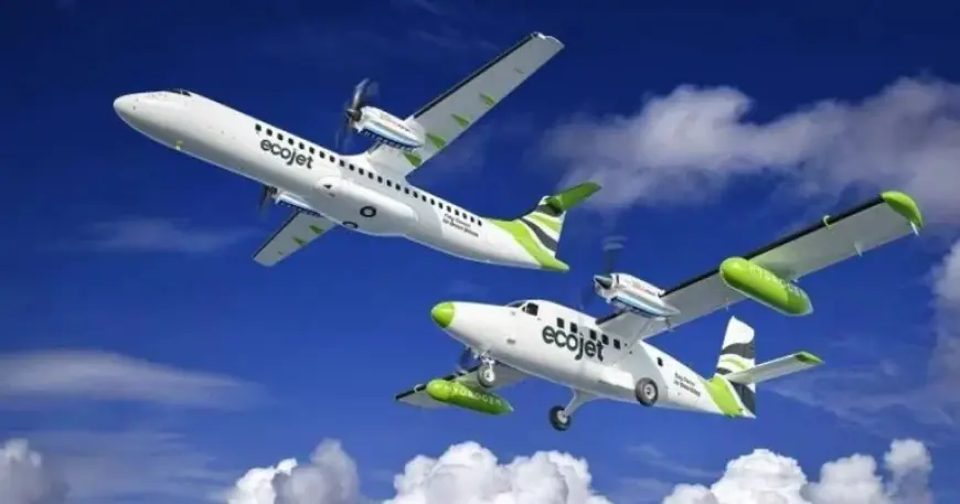 Planned Ecojet Airlines flights grounded, staff protections set as company enters liquidation