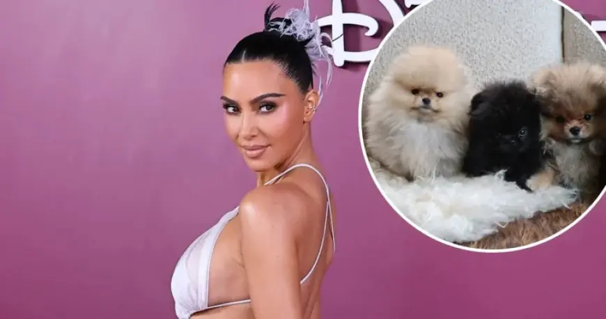Kim Kardashian Shares Four Pomeranians for Her Children, Sparking PETA Backlash