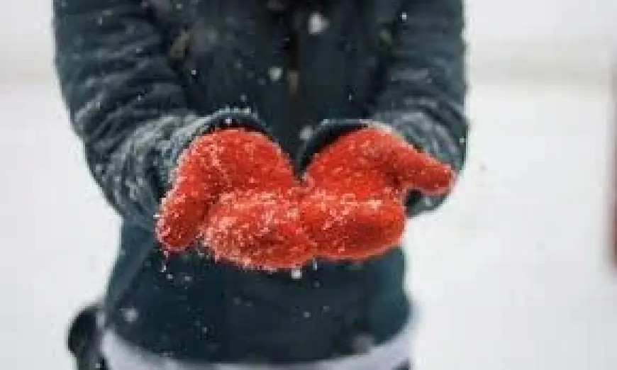 Rain Persists in Weather Vancouver, Evening Downpours Shift Plans for Outdoors