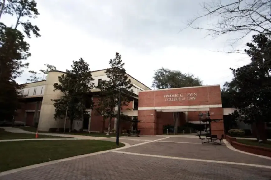 Gators Drop Series: Uf Baseball Faces Pressure After Loss to High Point