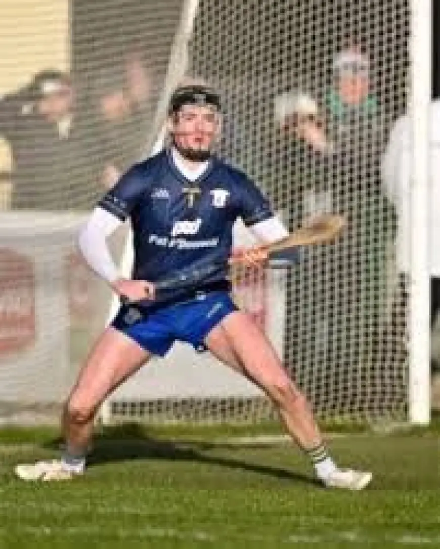 Clare V Wexford Reshaped As Sheedy Debuts, Hogan and O’Donnell In Frame