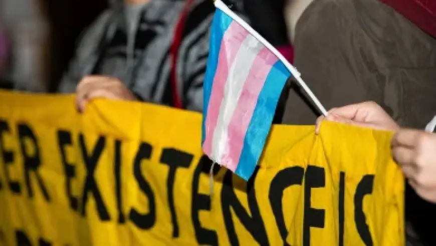 Americans Claim Canadian Citizenship Descent Under New Law, Millions Become Eligible