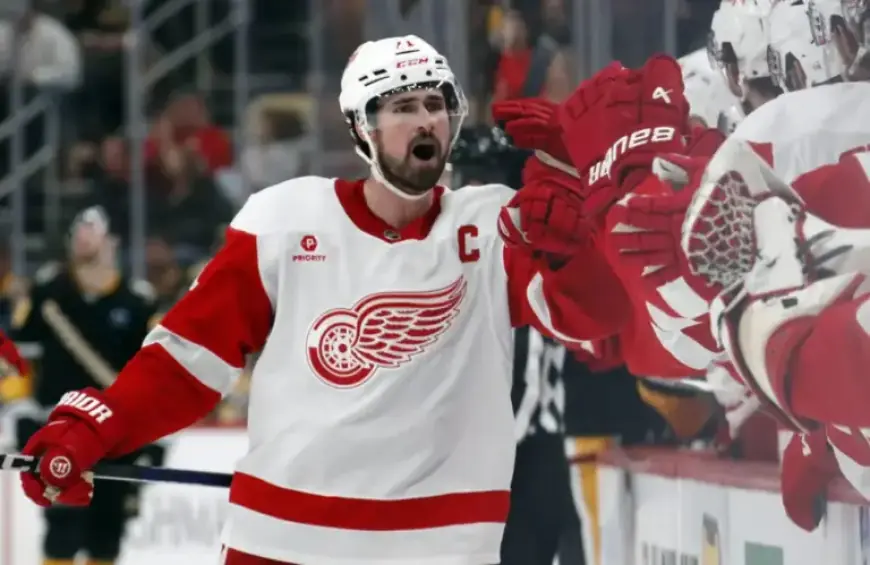 Pro Hockey Rumors: Larkin, Fabbro, Faksa Updates