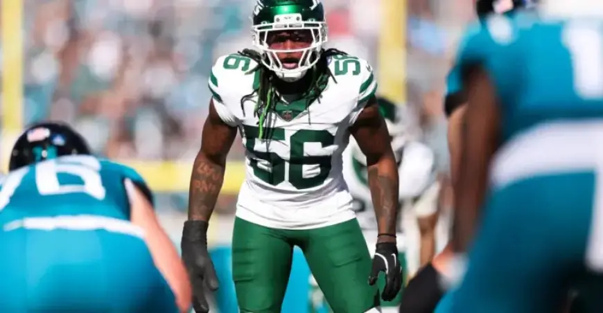 Top Linebacker Fits for Detroit Lions: Anzalone Replacements Preview