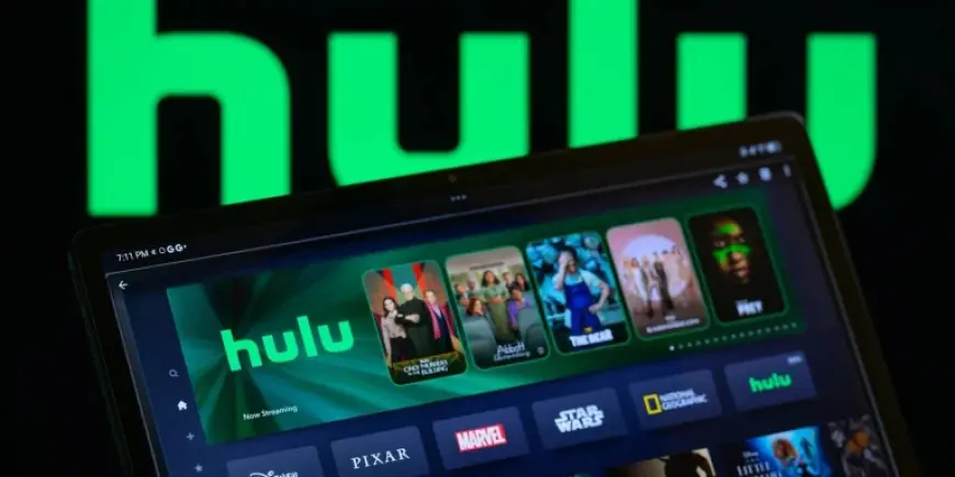 Zooey Deschanel Critiques Viral Cookies as Hulu Spotlights ‘New Girl’ Return