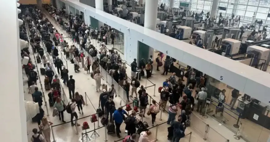 TSA Strike Causes Long Lines, Travel Delays at MSY Airport