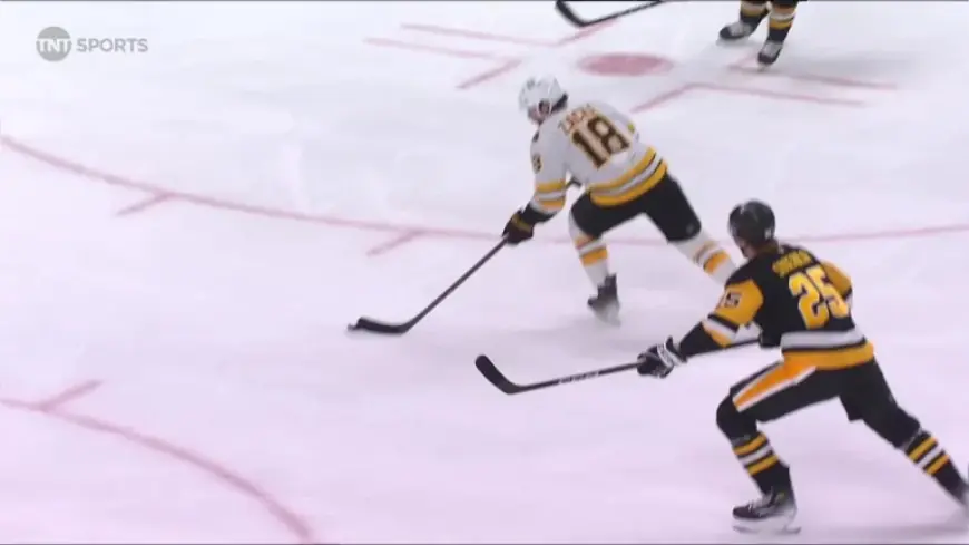 Pavel Zacha Scores Power-Play Goal to Extend Bruins Five-Point Streak