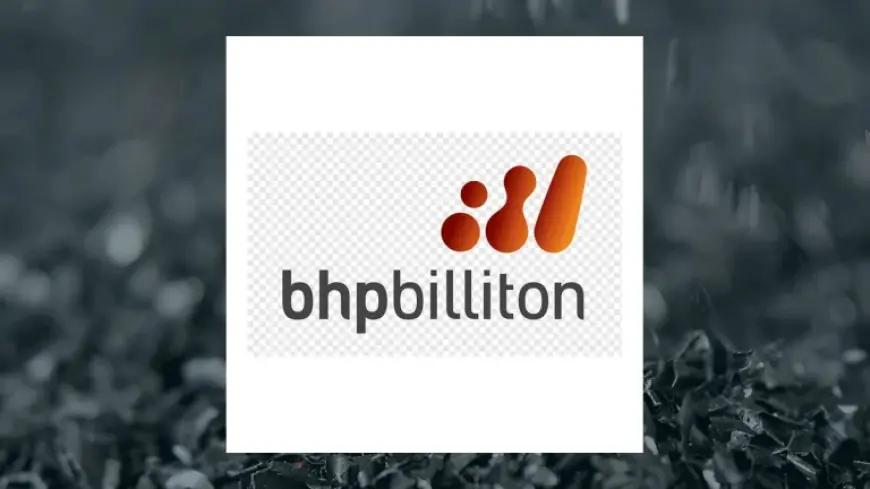 Bhp Share Price Shift Hits Investors as Analysts Raise Targets and Guidance Changes