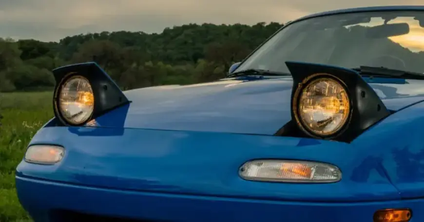 Unveiling the Secret Handshakes Among Car Owners: A Wink, Nod, or Duck