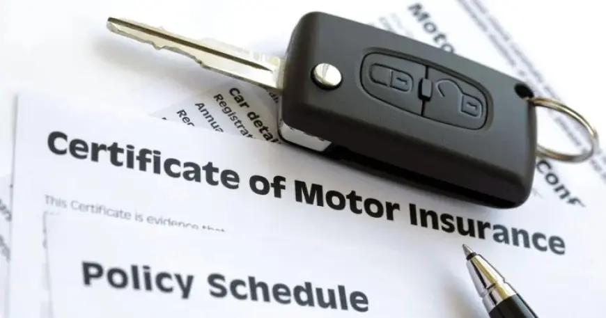 Dvla Prosecutes 91-Year-Old With Alzheimer’s Over Short Uninsured Car Period